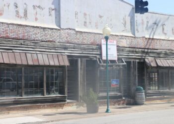 Frog level Renaissance? | News