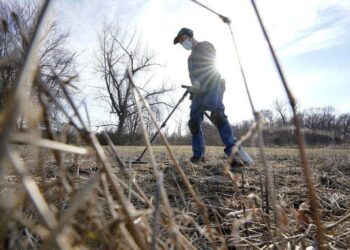Ancient coins may solve mystery of murderous 1600s pirate | National/World News