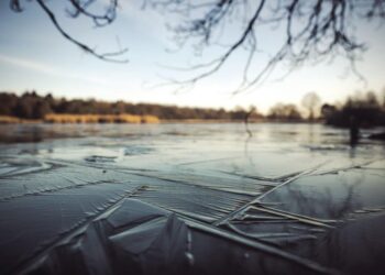 Darwin Awards: A higher purpose than mere entertainment | Local Columnists