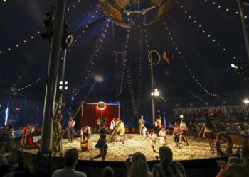 Colorado bill would prohibit traveling animal show | Entertainment