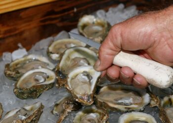 Supreme Court gives Georgia win in water war with Florida