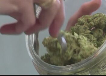 Poll: Age, not politics divides Louisiana on marijuana laws