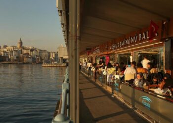 Turkey: Ex-Admirals Derided for Statement on Straits Treaty | World News