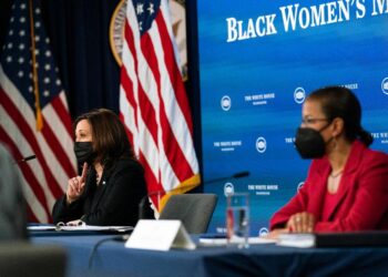 Harris Highlights Pregnancy Difficulties Facing Black Women | Health News