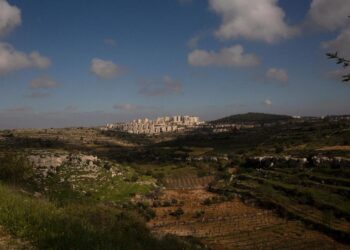 Trump-Era Spike in Israeli Settlement Growth Has Only Begun | World News