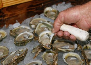 Supreme Court Gives Georgia Win in Water War With Florida | Florida News