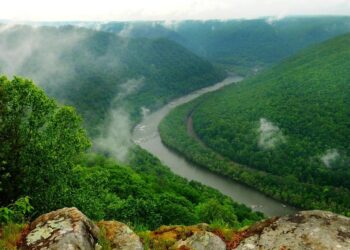 West Virginia Pins Population Growth Hopes on Income Tax Cut | Political News