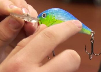 Kids become entrepreneurs in Bedford County’s new 4-H program